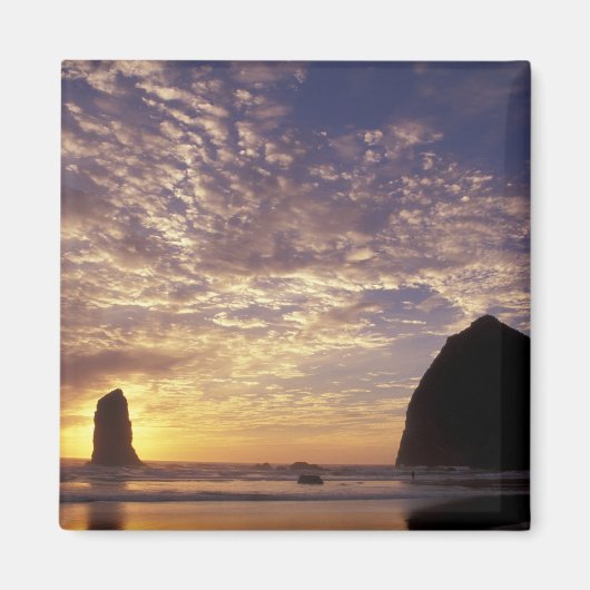 NA, USA, Oregon, Oregon Coast, Canon Beach with Magnet (Vorne)