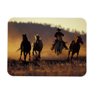 NA, USA, Oregon, Seneca, Ponderosa Ranch, Cowboy 2 Magnet