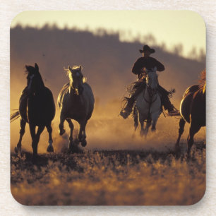NA, USA, Oregon, Seneca, Ponderosa Ranch, Cowboy 2 Untersetzer