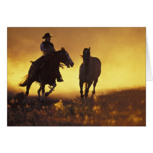NA, USA, Oregon, Seneca, Ponderosa Ranch, Cowboy 3