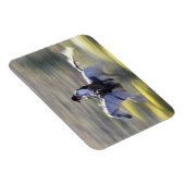 NA, USA, Oregon, Seneca, Ponderosa Ranch, Cowboy Magnet (Rechte Seite)