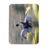 NA, USA, Oregon, Seneca, Ponderosa Ranch, Cowboy Magnet (Vertikal)