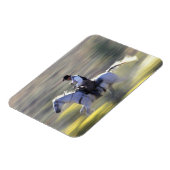 NA, USA, Oregon, Seneca, Ponderosa Ranch, Cowboy Magnet (Linke Seite)