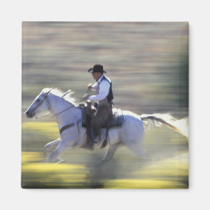 NA, USA, Oregon, Seneca, Ponderosa Ranch, Cowboy Magnet