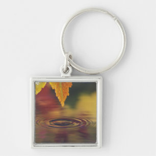 NA, USA, Pazifischer Nordwesten Schlüsselanhänger