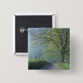 NA, USA, Tennessee, Cades Cove, Great Smoky Button (Vorne & Hinten)