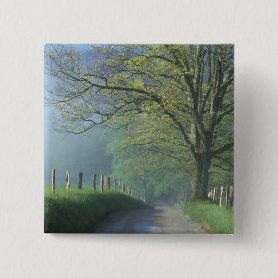 NA, USA, Tennessee, Cades Cove, Great Smoky Button