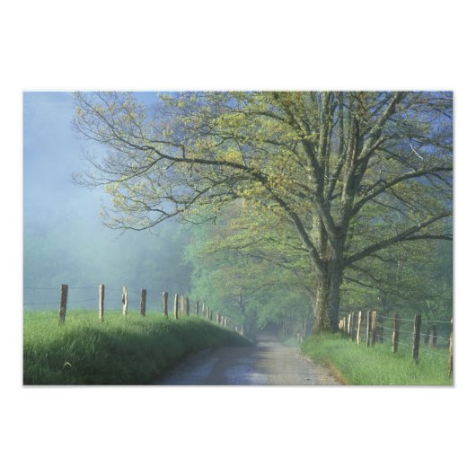 NA, USA, Tennessee, Cades Cove, Great Smoky Fotodruck (Vorne)
