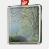 NA, USA, Tennessee, Cades Cove, Great Smoky Ornament Aus Metall (Links)