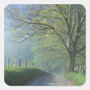 NA, USA, Tennessee, Cades Cove, Great Smoky Quadratischer Aufkleber