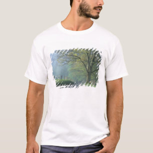 NA, USA, Tennessee, Cades Cove, Great Smoky T-Shirt