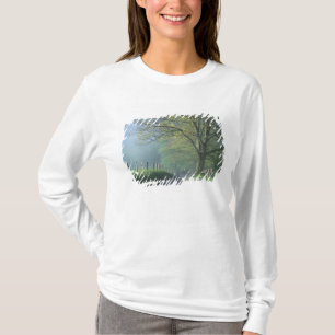 NA, USA, Tennessee, Cades Cove, Great Smoky T-Shirt