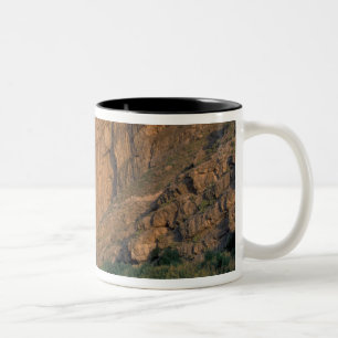 NA, USA, Texas, Big Bend National Park. Rio Grande Zweifarbige Tasse