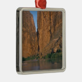 NA, USA, Texas, Big Bend National Park.Rio Silbernes Ornament (Rechts)