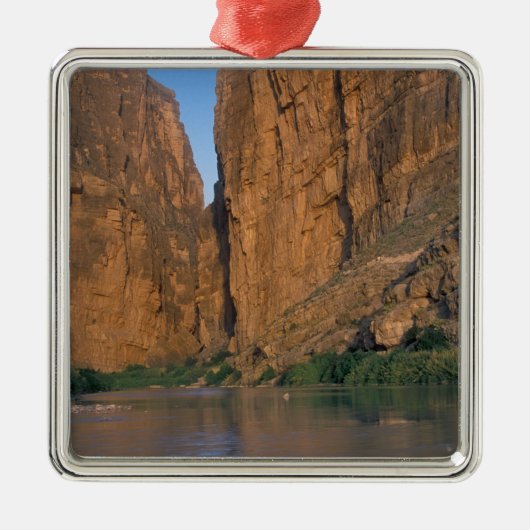 NA, USA, Texas, Big Bend National Park.Rio Silbernes Ornament (Vorne)