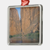 NA, USA, Texas, Big Bend National Park.Rio Silbernes Ornament (Links)
