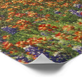 NA, USA, Texas, Hill Country, Paint brush und Poster (Ecke)