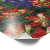 NA, USA, Texas, near Marble Falls, Paint brush, Fotodruck (Ecke)