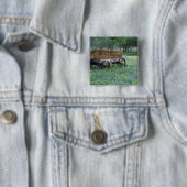 Na, USA, Texas, östlich Devine, alter Lastwagen Button (Beispiel)