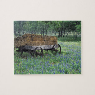 Na, USA, Texas, östlich Devine, alter Lastwagen Puzzle