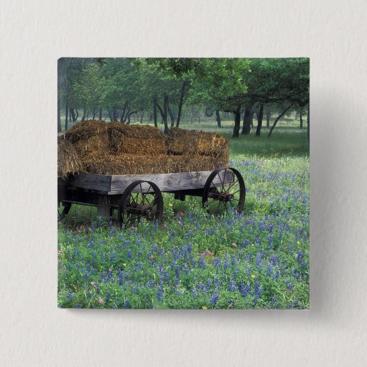 NA, USA, Texas, östlich von Devine, Alter Wagen in Button (Vorderseite)