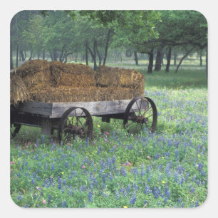 NA, USA, Texas, östlich von Devine, Alter Wagen in Quadratischer Aufkleber