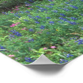 NA, USA, Texas, östlich von Devine, Old wagon in Poster (Ecke)