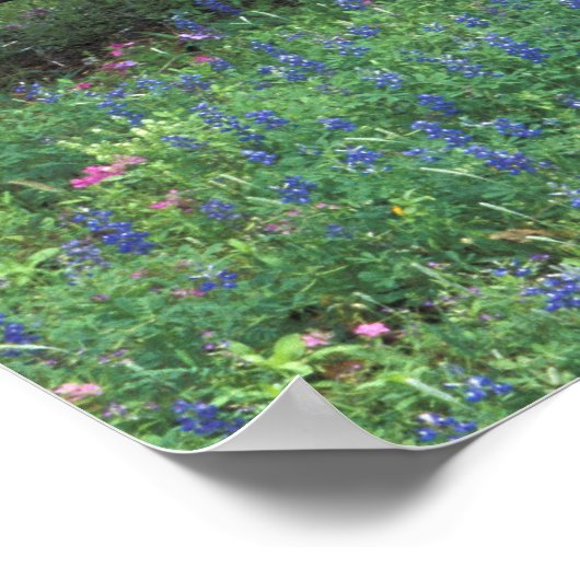 NA, USA, Texas, östlich von Devine, Old wagon in Poster (Ecke)