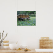 NA, USA, Texas, östlich von Devine, Old wagon in Poster (Küche)