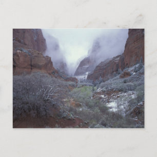 NA, USA, Utah, Zion NP, Frühlings-Schneesturm, Postkarte