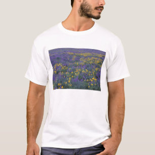 NA, USA, Washington Dalles, Lupine und T-Shirt