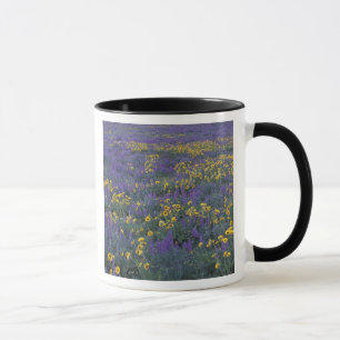 NA, USA, Washington Dalles, Lupine und Tasse