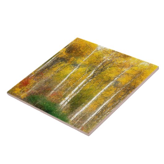 NA, USA, Washington, Fall Aspen Trees entlang Fliese (Seite)