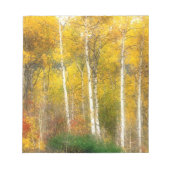 NA, USA, Washington, Fall Aspen Trees entlang Notizblock (Vorderseite)