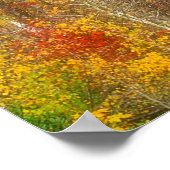 NA, USA, Washington, Fall Aspen Trees entlang Poster (Ecke)