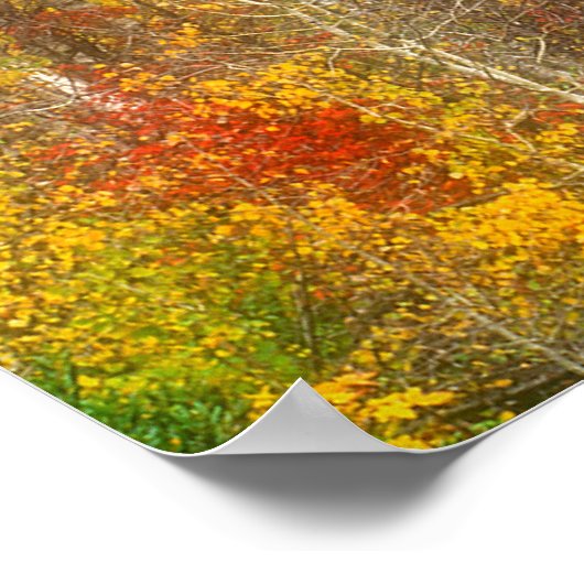 NA, USA, Washington, Fall Aspen Trees entlang Poster (Ecke)