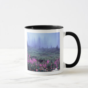 NA, USA, Washington, Foggy Alpine Meadow, Mt. Tasse