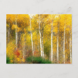 NA, USA, Washington, Herbst-Aspenbäume entlang Postkarte