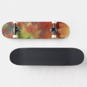 NA, USA, Washington, Issaquah, Weinaal Skateboard (Horizontal)