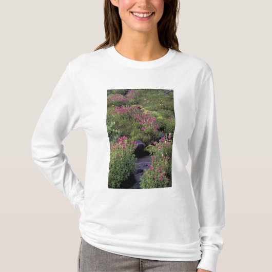 NA, USA, Washington, Mt. Rainier NP, Pink T-Shirt (Vorderseite)