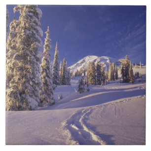 NA, USA, Washington, Mt. Rainier NP, Schneeschuh Fliese