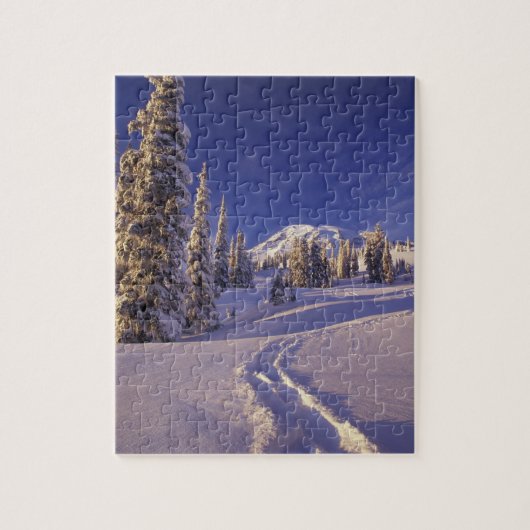 NA, USA, Washington, Mt. Rainier NP, Snowshoe Puzzle (Vertikal)