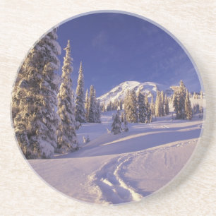 NA, USA, Washington, Mt. Rainier NP, Snowshoe Sandstein Untersetzer