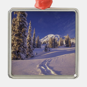 NA, USA, Washington, Mt. Rainier NP, Snowshoe Silbernes Ornament