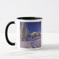 NA, USA, Washington, Mt. Rainier NP, Snowshoe