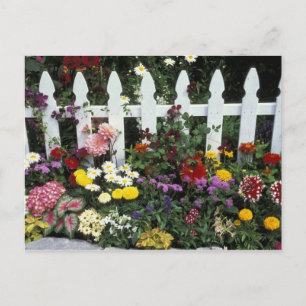 NA, USA, Washington, Sammamish, Weißer Lattenzaun Postkarte