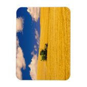 NA, USA, Washington Staat, Palouse Region, Magnet (Vertikal)