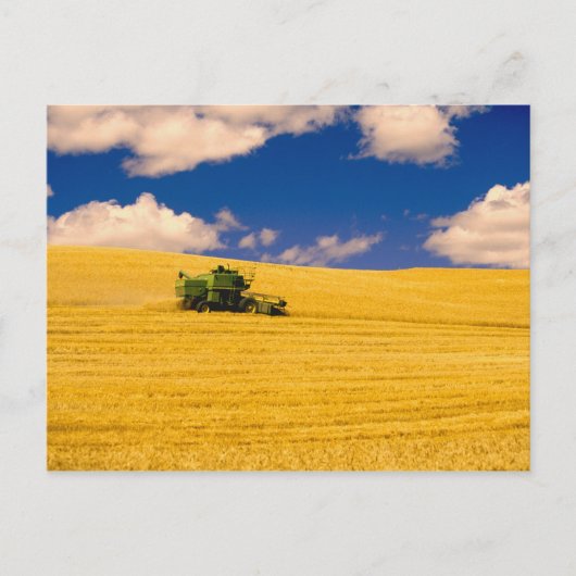 NA, USA, Washington Staat, Palouse Region, Postkarte (Vorderseite)
