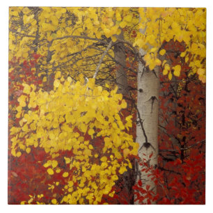 NA, USA, Washington, Wenatchee National Forest. Fliese