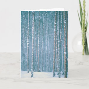 NA, USA, WY. Schneewinterszene Feiertagskarte